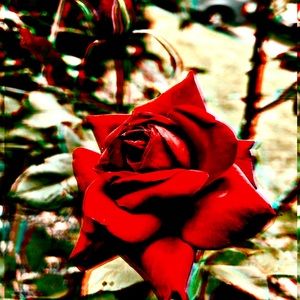 Meet your Posher, Angel